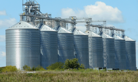 Grain-Storage (1)